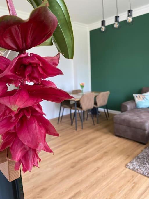 2-Zimmer Zentral In Ferdinandshof, Wlan Modern المظهر الخارجي الصورة