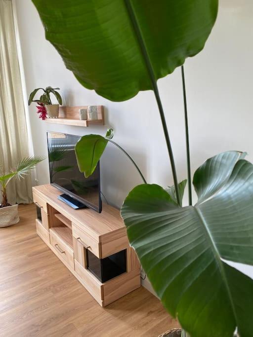 2-Zimmer Zentral In Ferdinandshof, Wlan Modern المظهر الخارجي الصورة