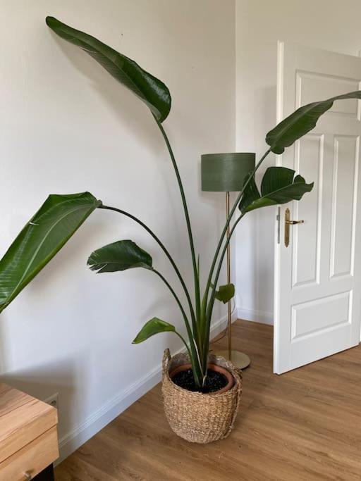 2-Zimmer Zentral In Ferdinandshof, Wlan Modern المظهر الخارجي الصورة
