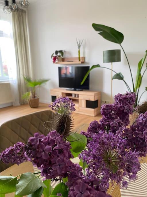 2-Zimmer Zentral In Ferdinandshof, Wlan Modern المظهر الخارجي الصورة